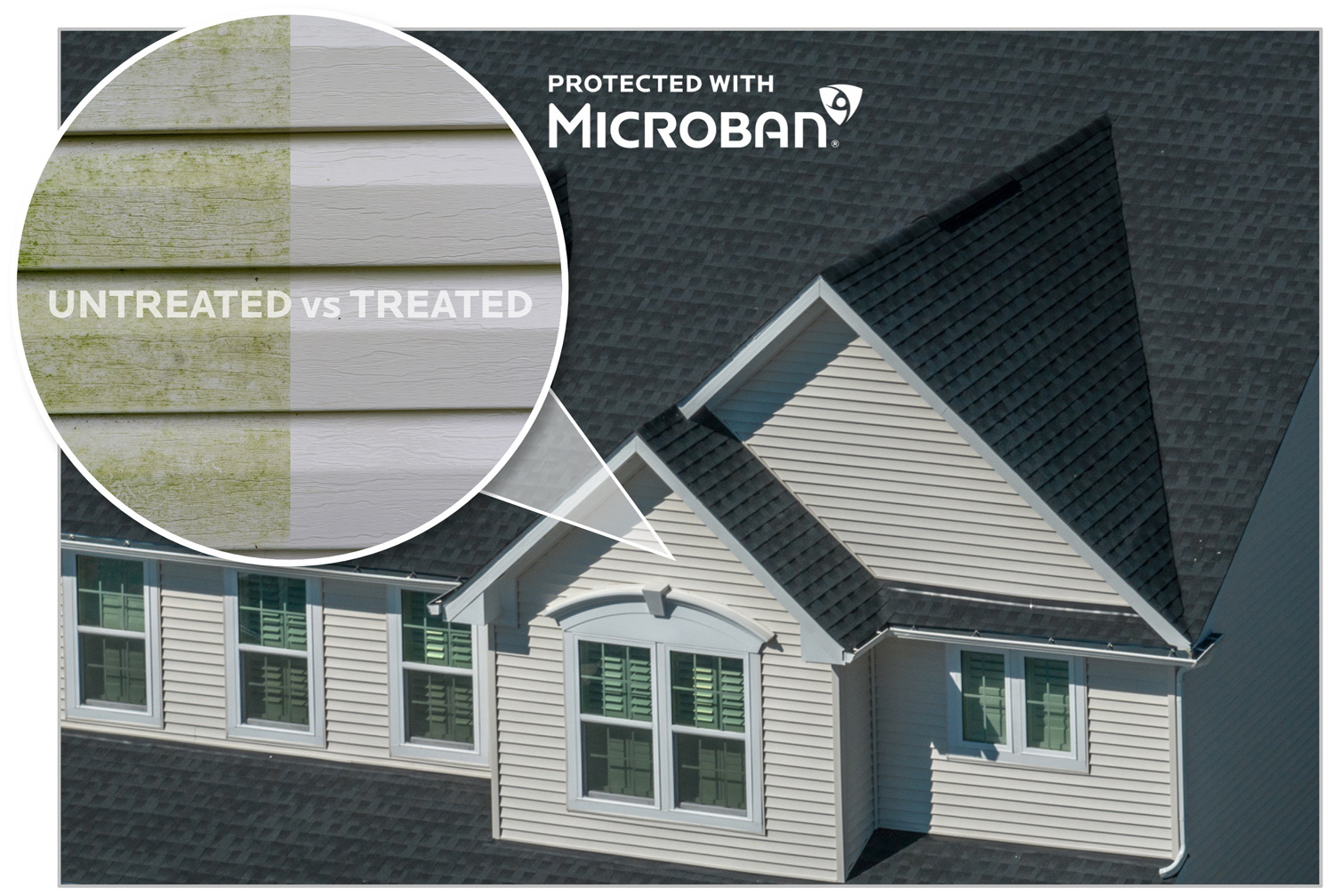 MB Confocol image comparing PVC siding treated with antimicrobial technologies vs. standard PVC siding