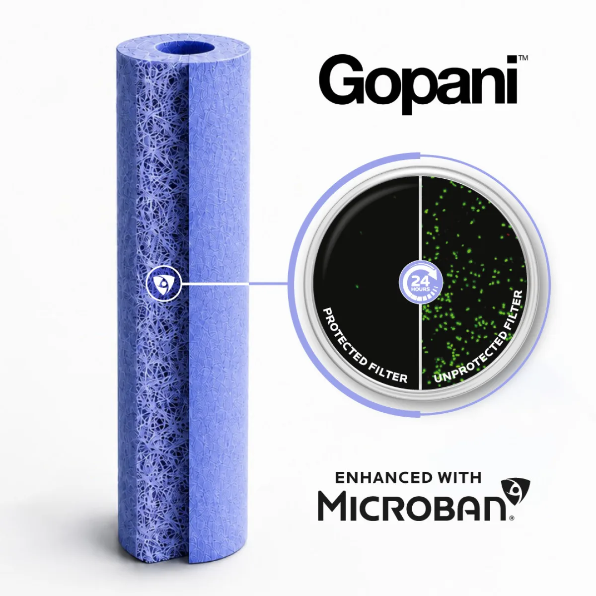 Mbns26 Microban Partner Gopani Confocal Image