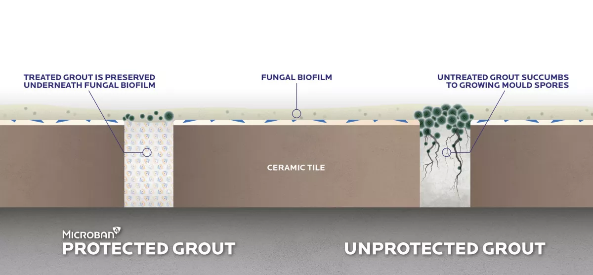 Mbns20 Microban Treated Biofilm Comparison Visual mtime20200519090852