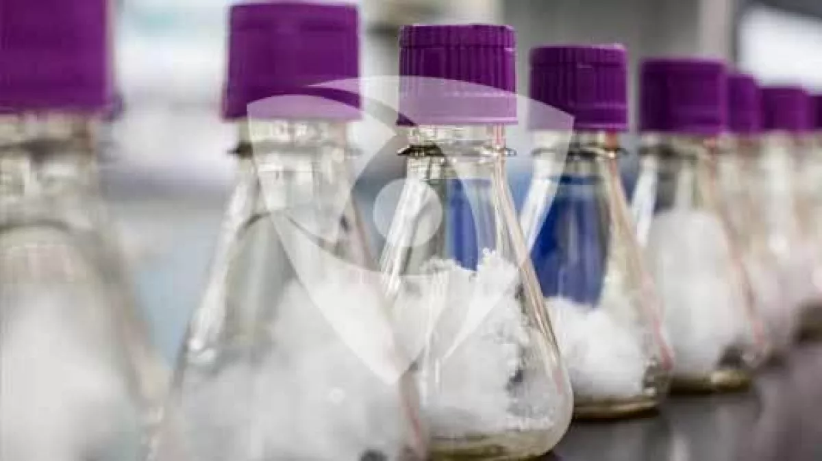Odor testing services mtime20190225200936