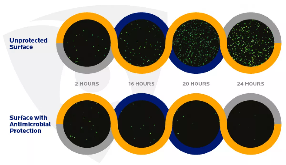Mbns18 Bacteria Image Confocal Microban