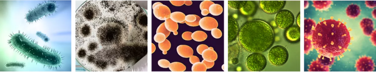 Coatings figure 1