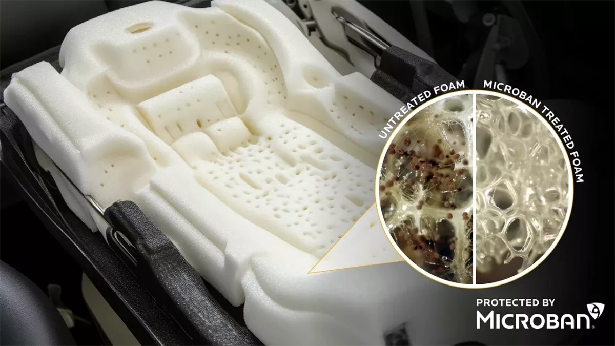 Mbns25 Microban Blog Automotive Foam Confocal Image