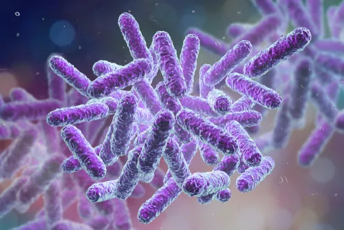 Enterobacter aerogenes