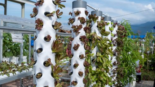 Mbns23 Microban Hydroponic Tower System HERO
