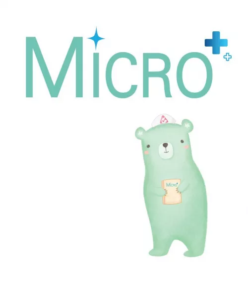 Micro Logo mtime20191211094344