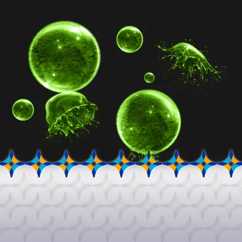 Mbns18 Bacteria Aegis mtime20190807163010