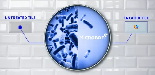 Ceramic Tile Bacteria Image