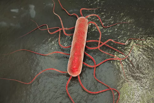Listeria monocytogenes mtime20190225200932