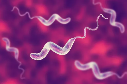 Campylobacter mtime20190225200930
