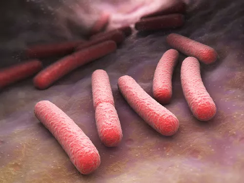 Escherichia coli mtime20190225200931