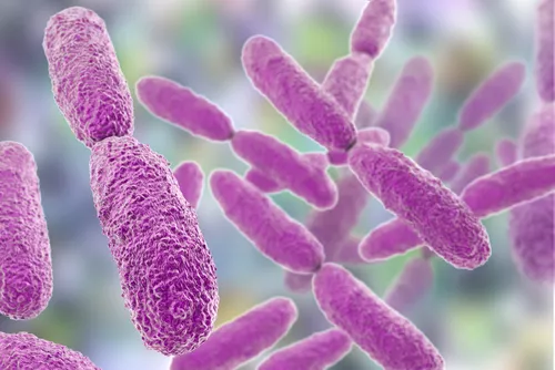 Klebsiella pneumoniae mtime20190225200931