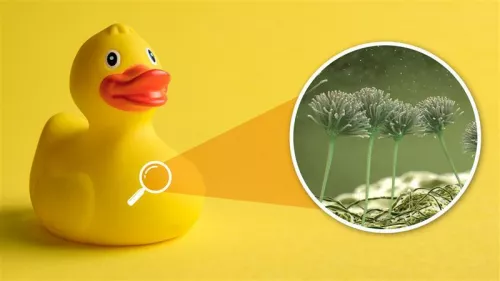 Consumer Product Rubber Duck