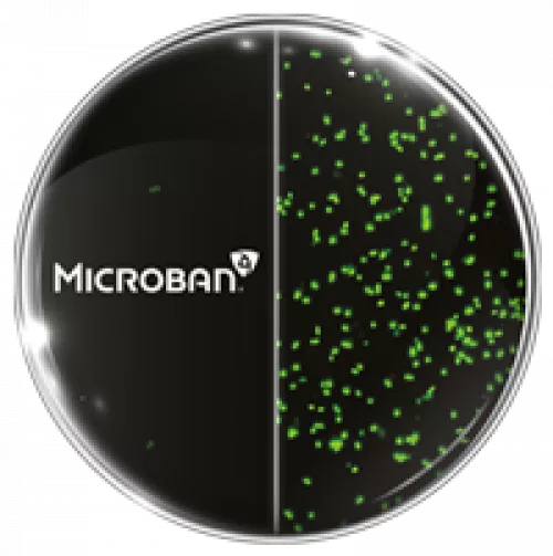 Mbns18 Confocal Bacteria Microban Treated