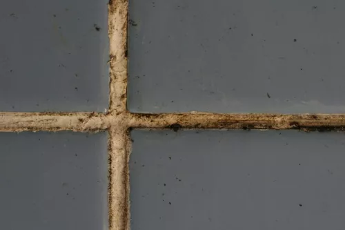 Microban_Grout-Test-Untreated-Mold-growth