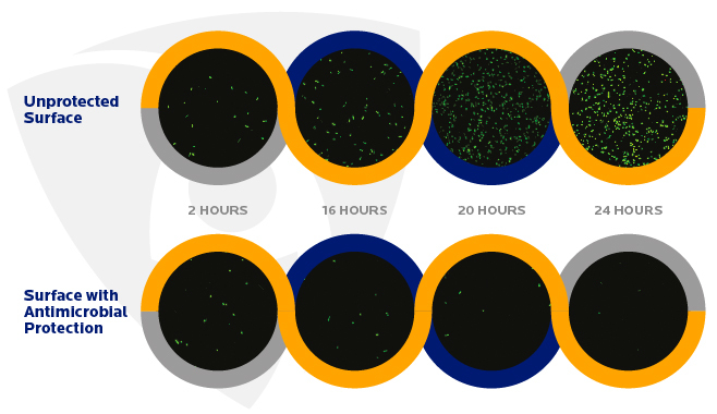 mbns18_bacteria-image-confocal-microban.jpg?mtime=20190225200929#asset:8609