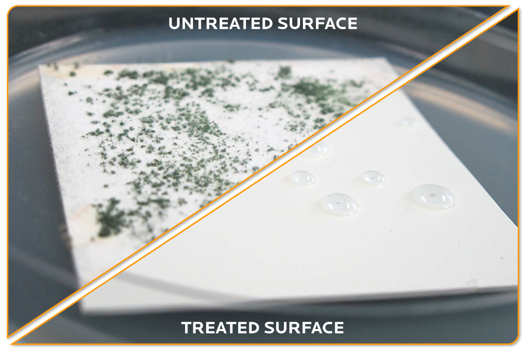 Treated vs Untreated vinyl sample with mold growing on untreated