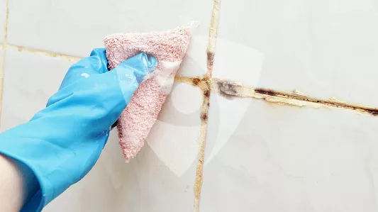 How to Remove Mold and Tough Stains From Your Ceramic Tiles and Avoid Them in the Future