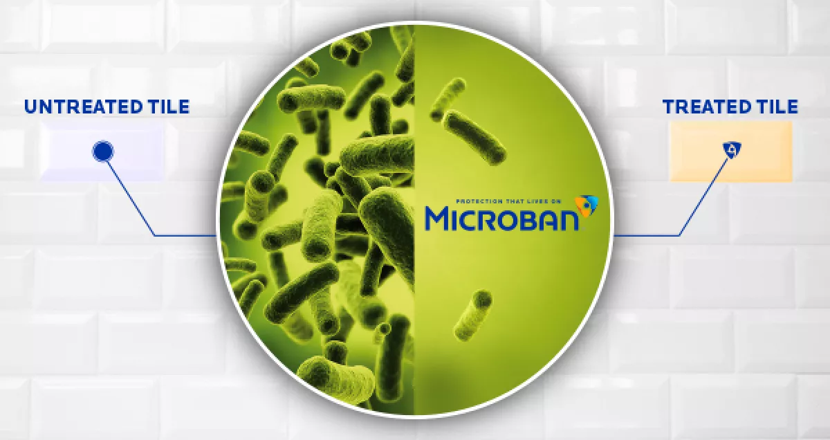 mbns18_Cersaie Treated V Untreated