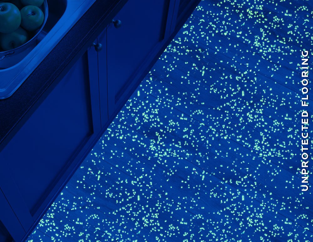 kitchen floor without Microban antimicrobial protection, blue overlay and confocal bacteria simulation with glowing dots