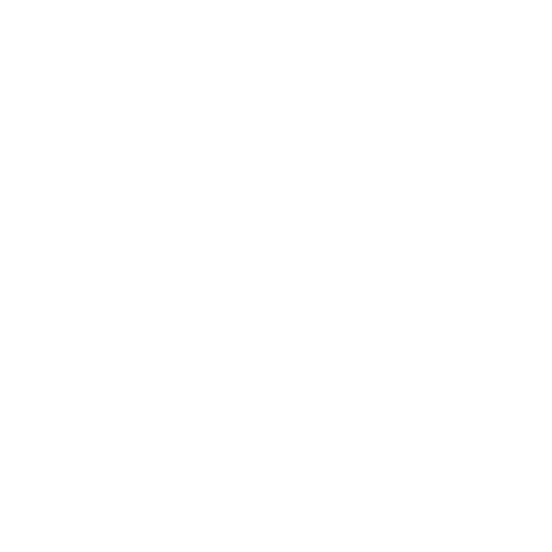 NIHT Logo White