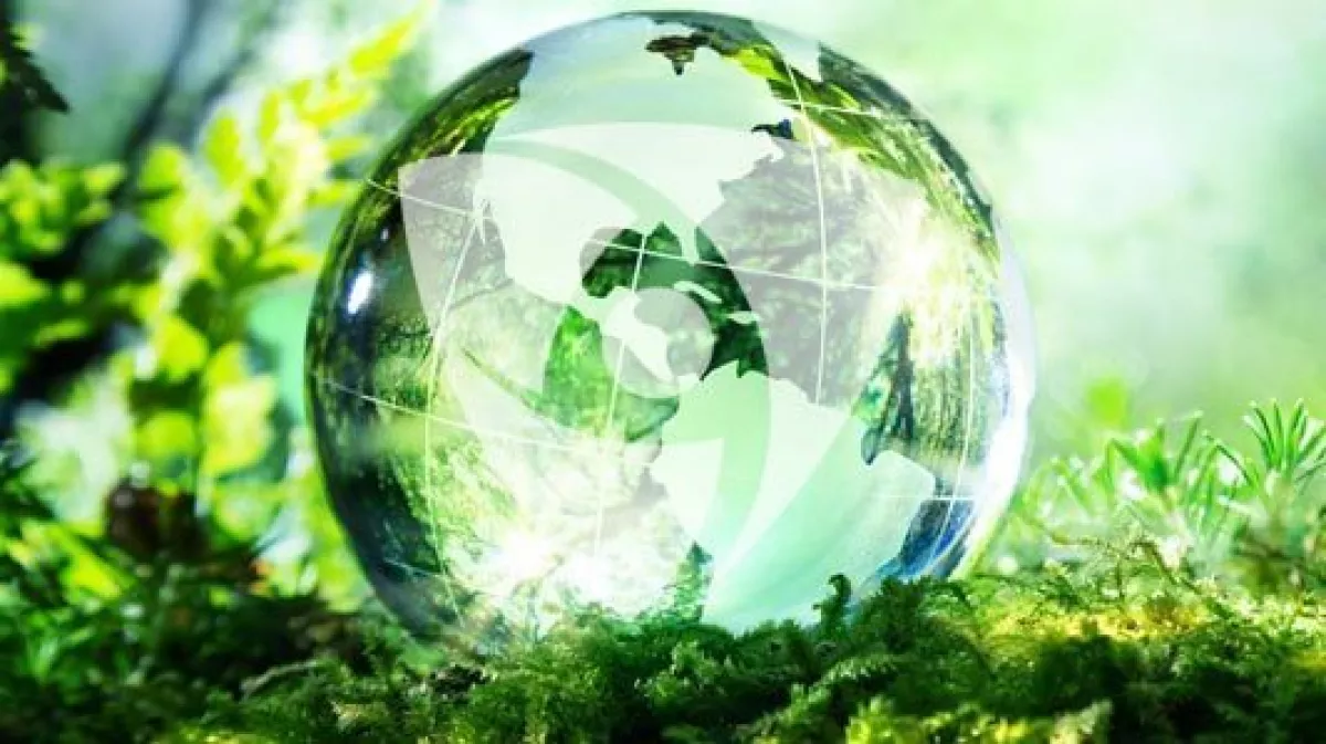 Mbns20 Committed Sustainability